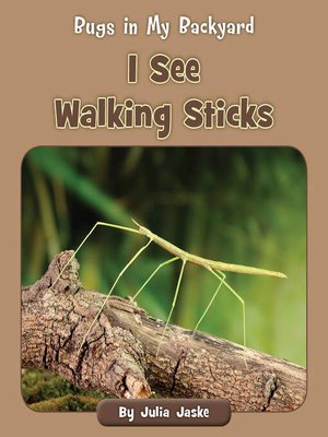 cover image of I See Walking Sticks